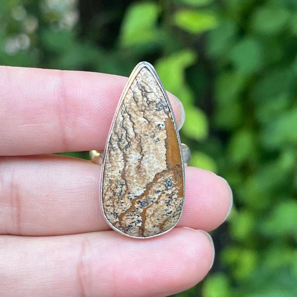 Size 9.25 925 silver plated picture jasper ring 0489